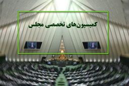 دستور کار جلسات کمیسیون‌های مجلس در هفته جاری اعلام شد