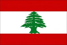 گروه تروریستی وابسته به داعش در لینان شناسایی شد