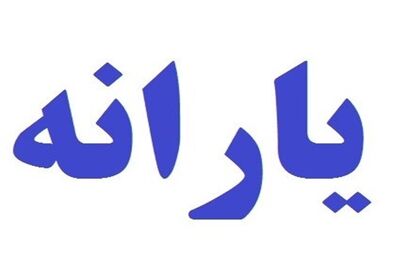 دولت مبنایی برای افزایش یارانه نقدی ندارد