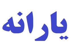 دولت با کاهش قابل توجه بودجه یارانه نقدی و غیرنقدی خانوارها  پیشنهاد حذف یارانه بیش از ۳۰ میلیون نفر را داد