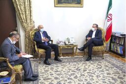سفیر ارمنستان در ایران با عراقچی دیدار کرد