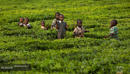 عکسهای برتر ماه دسامبر از نگاه خبرگزاری آسوشیتد پرس