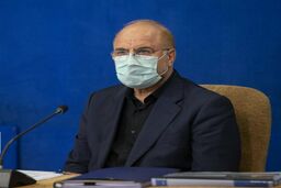 مهم‌ترین پاشنه آشیل اقتصاد، دولتی بودن است