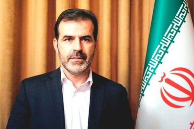 رئیس مرکز اطلاع رسانی وزارت کشور منصوب شد