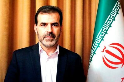 رئیس مرکز اطلاع رسانی وزارت کشور منصوب شد
