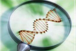  لزوم توجه مجلس به لایحه ذخایر ژنتیکی