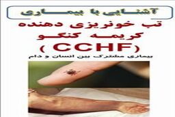 آشنایی با راه های انتقال بیماری مشترک تب خونریزی دهنده کریمه کنگو