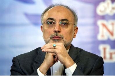 مدیرکل ایتر با صالحی دیدار کرد
