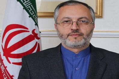 سفیر ایران در دانمارک استقبال بی‌نظیر مردم از انتخابات را حاکی از هوش فزاینده آنها دانست
