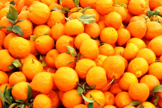 اکثر نارنگی‌های پایتخت رنگ آمیزی شده اند