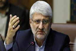 مجلس هیچ مصوبه ‌ای درباره حذف اجباری بودن غربالگری بانوان باردار نداشته است