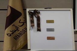 بانک آینده پیشتاز در اجرای طرح کارت اعتباری جدید شد