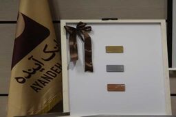 بانک آینده پیشتاز در اجرای طرح کارت اعتباری جدید شد