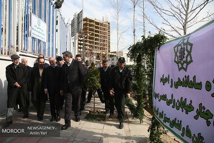 ساماندهی و احیا درختان خیابان ولیعصر (عج)
