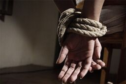گروگانگیری نیم میلیارد تومانی در خانه یک خبرنگار در جنت‌آباد