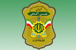 بازداشت الف.م در رابطه با قتل حاجیان صحت ندارد