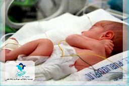 چانه زدن برای خرید و فروش نوزاد