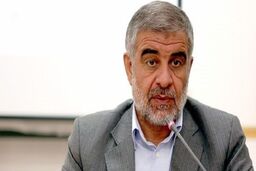 ورود به تخلفات در واگذاری معادن