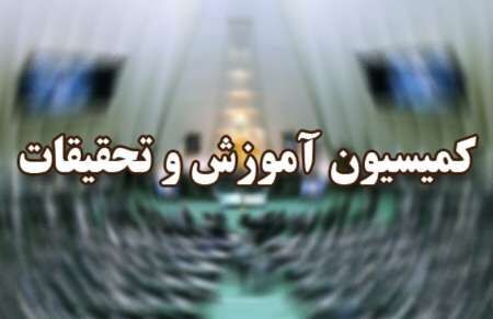 مجلس به دنبال تعریف حقوق مولف و محقق در جامعه علمی کشور است