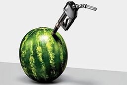 این غذاها ساعت ها شما را پرانرژی نگاه می دارند!