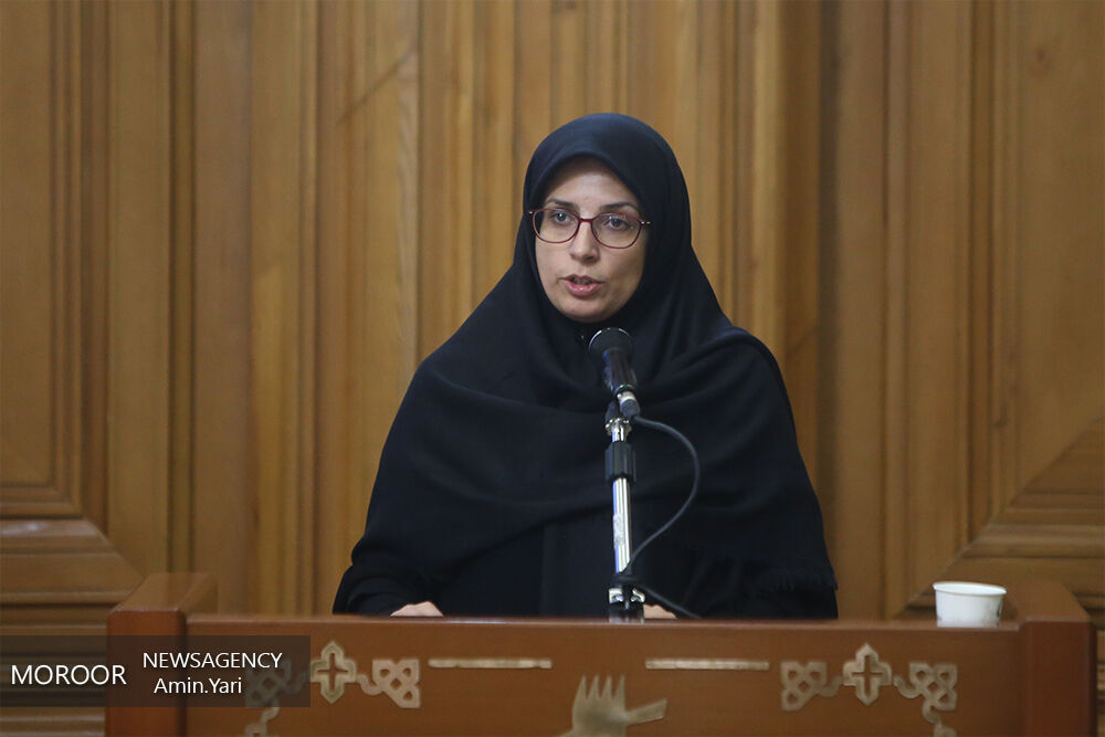 فرونشست باید در سطح عالی شهرداری وزارت نیرو پیگیری شود