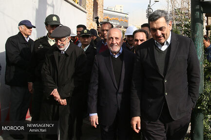 ساماندهی و احیا درختان خیابان ولیعصر (عج)