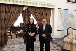 دیدار نماینده ویژه دبیرکل سازمان ملل متحد در امور عراق با ایرج مسجدی