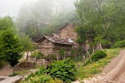 نقش فزاینده اروپا در فرایند جنگل‌زدایی