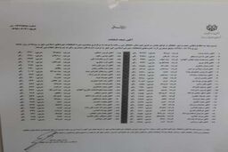  بازیکنانم بوکسور هستند