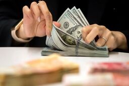 قیمت ارز در بازار آزاد امروز 14 مهر 1402 مشخص شد +جدول