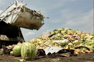 دورریز غذا در ایران با 10 کشور اروپایی برابری می‌کند