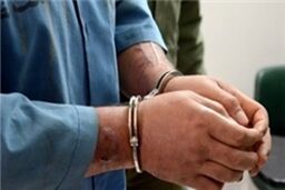 دستگیری عامل انتشار مطالب موهن به هواداران تراکتورسازی در یک نشریه غیررسمی معاند