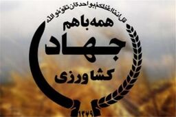 مبارزه غیر شیمیایی با آفات کشاورزی در طبس/کاهش 19درصدی مصرف سموم