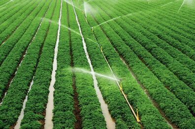 پرداخت 476 میلیاردریال تسهیلات آبیاری تحت فشار توسط بانک کشاورزی استان همدان