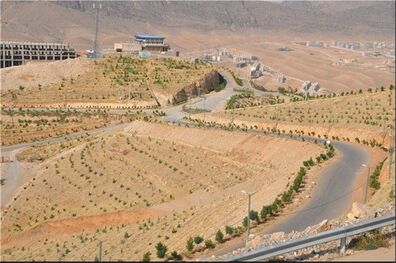 5000 مترمربع از گلخانه بام لرستان به نام خبرنگاران نام‌گذاری می‌شود