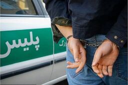 دستگیری سارقان حرفه‌ای اماکن خصوصی