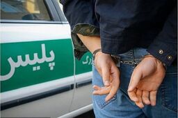 دستگیری سارقان حرفه‌ای اماکن خصوصی