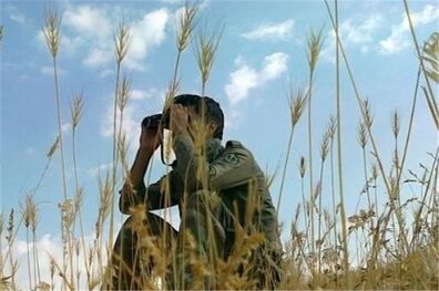 بازداشت عاملان حمله به محیط‌بان ساوه‌ای در دست پیگیری است