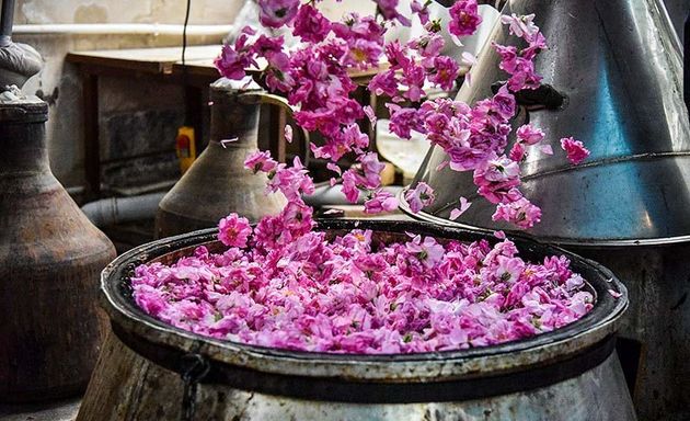 بیش از ۳۱ هزار گردشگر از باغ فین کاشان بازدید کردند