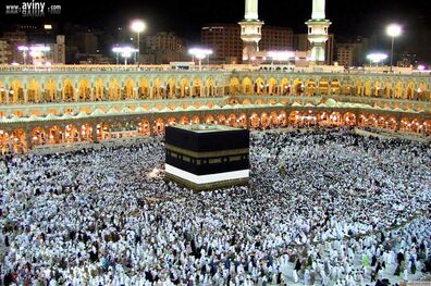 سازمان حج و زیارت برای تکمیل اطلاعات متقاضیان حج ۹۷  فراخوان داد