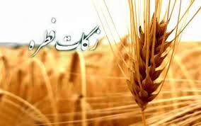 اعلام میزان فطریه و کفاره روزه از سوی آیت الله مکارم