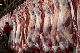 قیمت انواع محصولات پروتئینی در میادین میوه و تره بار