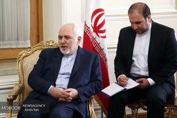نایب رئیس مجلس نیجر به دیدار ظریف رفت