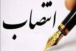مهدوی مهر مدیرعامل شرکت تجارت صنعت پتروشیمی خلیج فارس شد