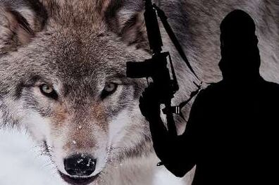 استرالیا واحد جدید مقابله با ظرفیت 'گرگ های تنها' داعش تشکیل داد
