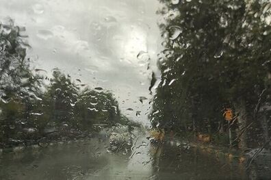 بارش باران در استان‌های جنوبی کشور
