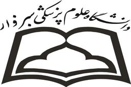 خروج توده پنج کیلویی از شکم یک بانوی 44 ساله در سبزوار