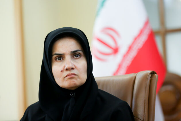 حقوق اساسی نیازمند فضای کارشناسی است