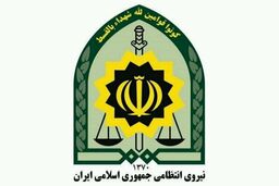 کشف یک میلیارد و 500 میلیون ریال گوشی قاچاق /دستگیری سارق حرفه‌ای