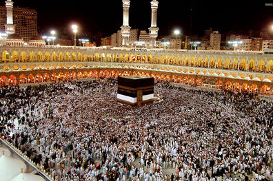 مناسک حج امسال تنها با چند زائر برگزار خواهد شد؟